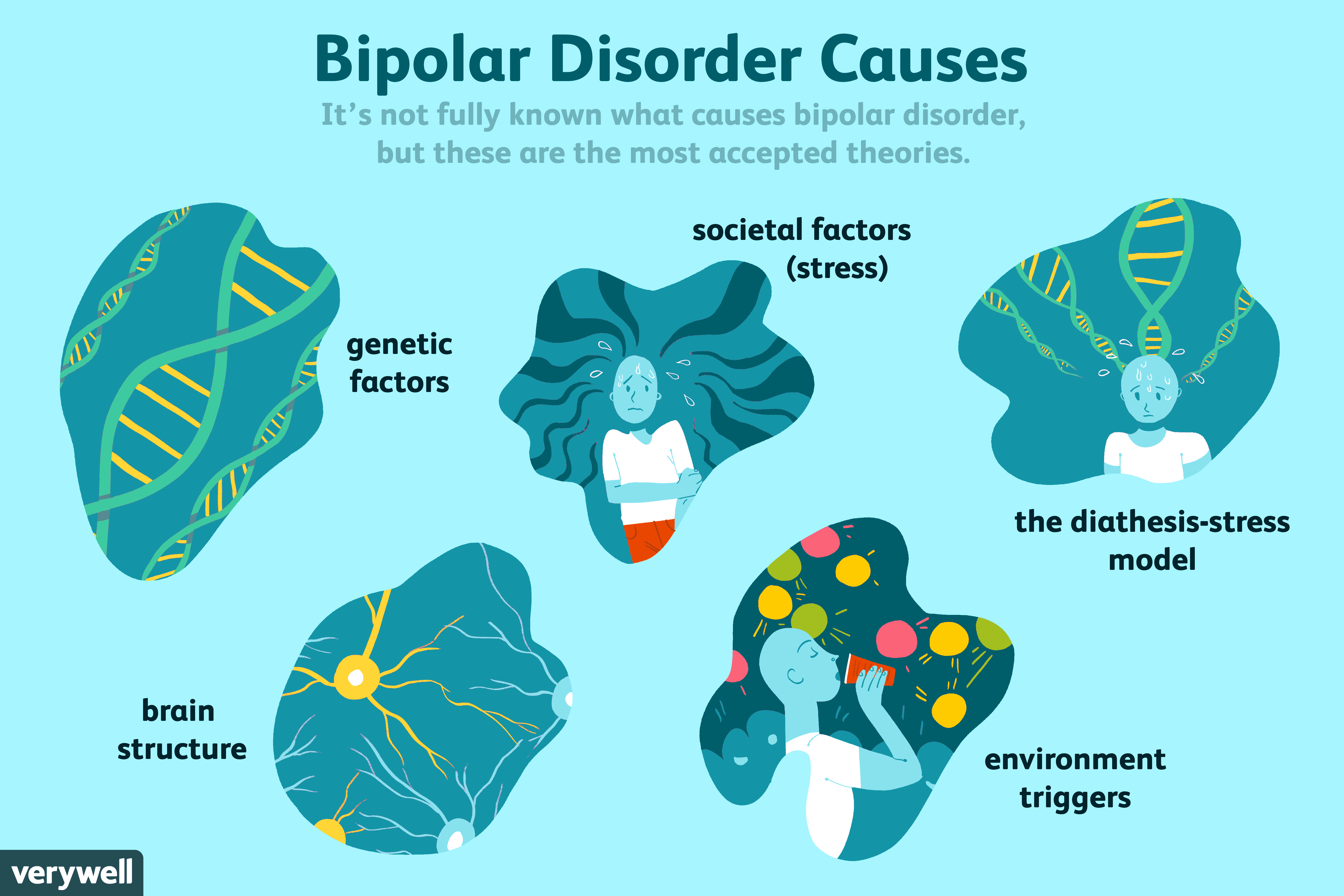 Causes Of Bipolar Disorder Worksheet Psychpoint