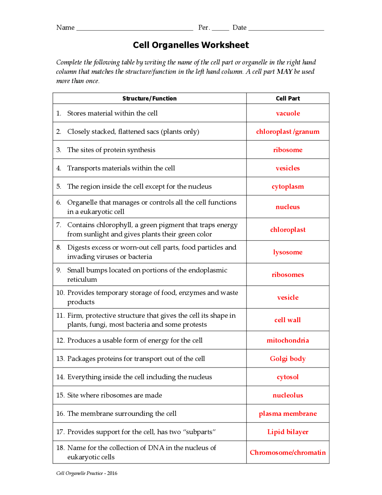 Cell Organelles Worksheet Key Organelle Cell Biology