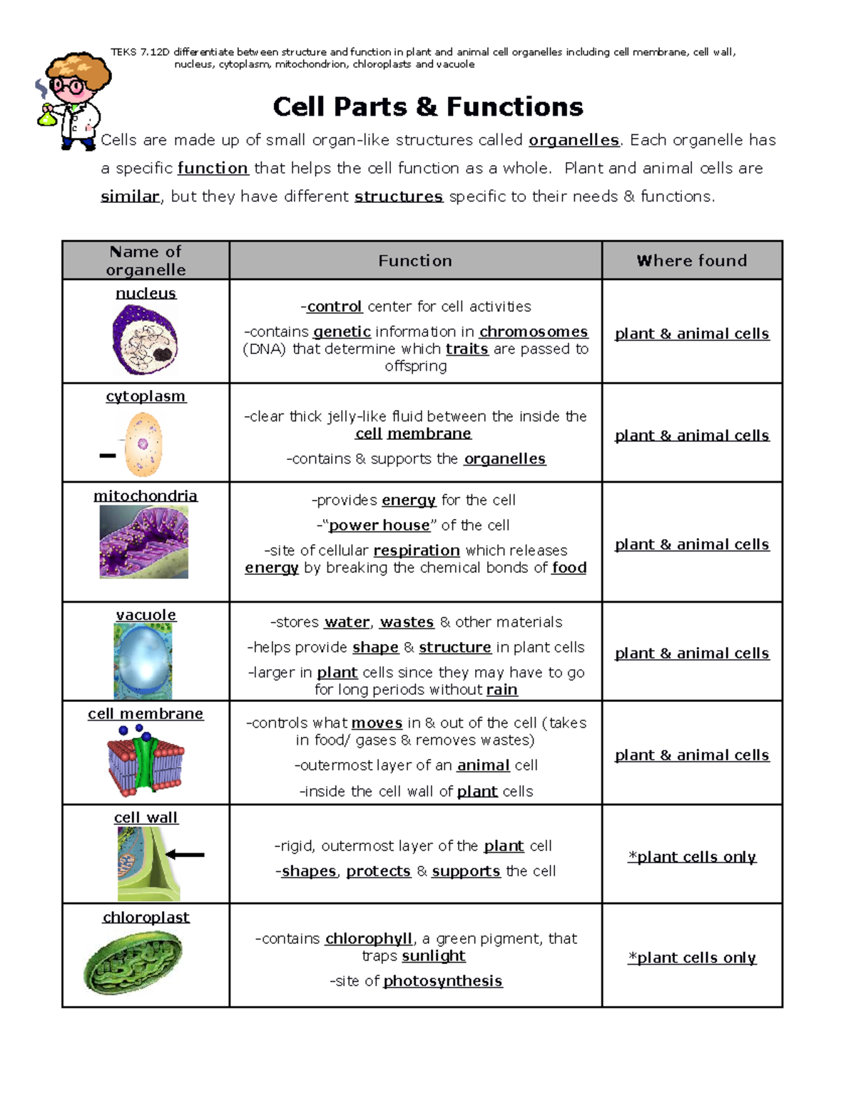 Cell Parts And Functions Worksheet Answers Worksheets Samples