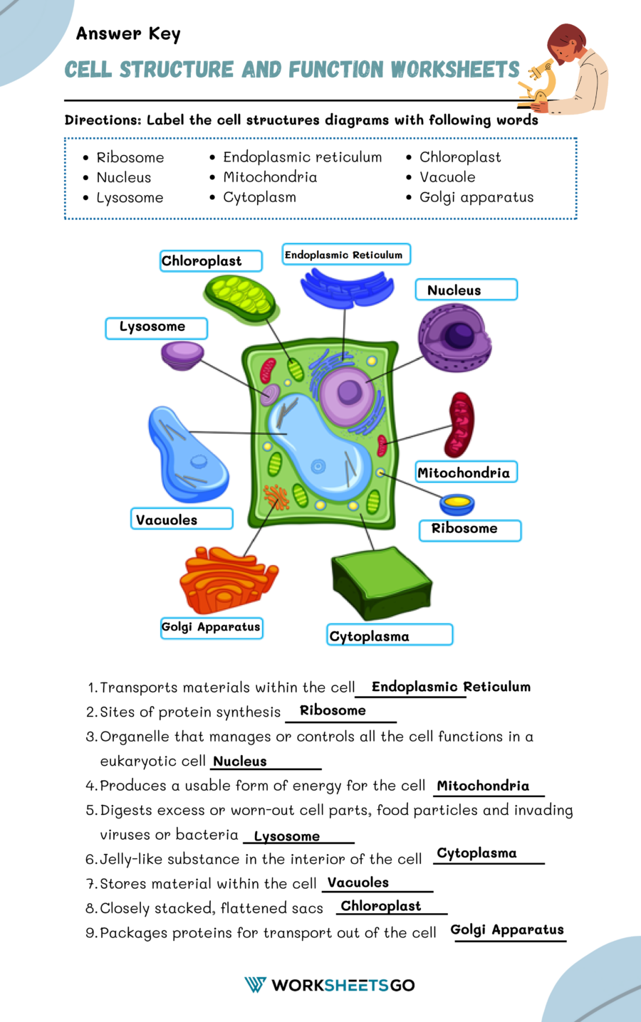 Cell Structure And Function Answer Key Fill Online Printable