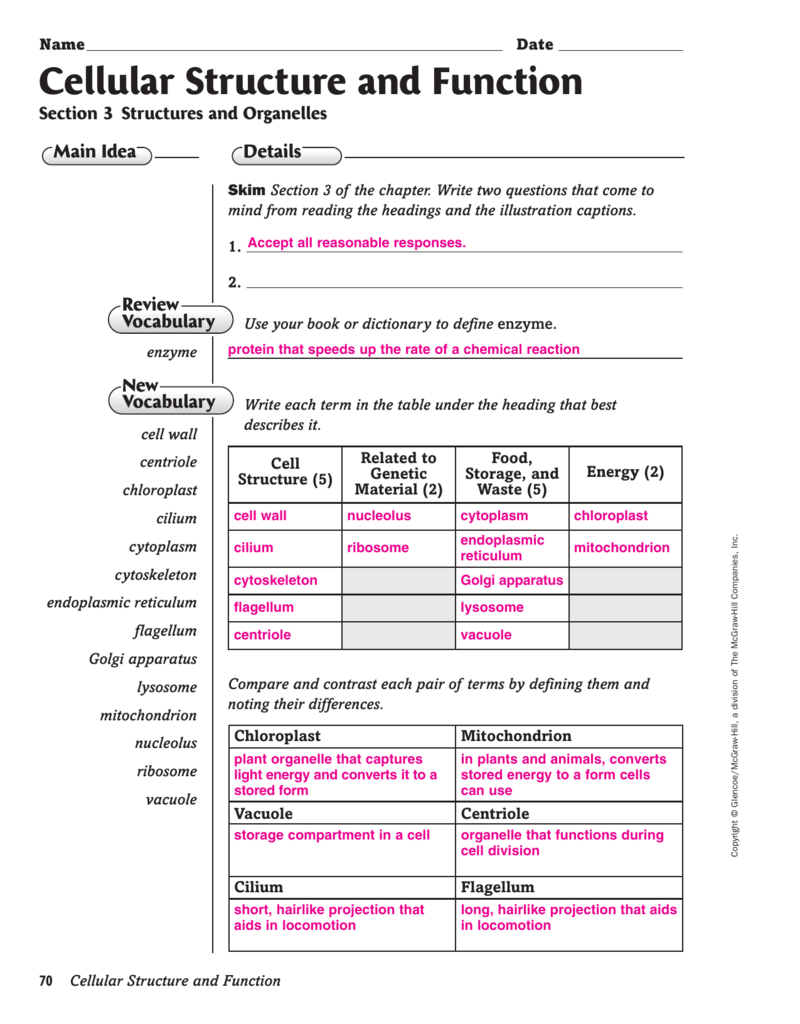 Cell Structure And Function Worksheet Answers