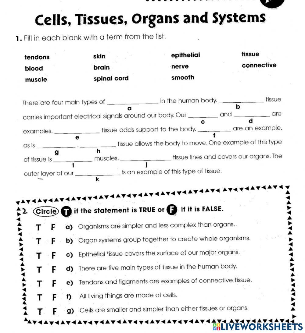 5 Essential Answers: Cells to Systems Worksheet Guide