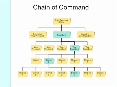 Chain Of Command Chart Template Best Of Chain Mand Chart Chain Of Command Basic Cv Template