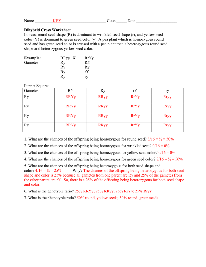 5 Steps to Solve Dihybrid Crosses Easily