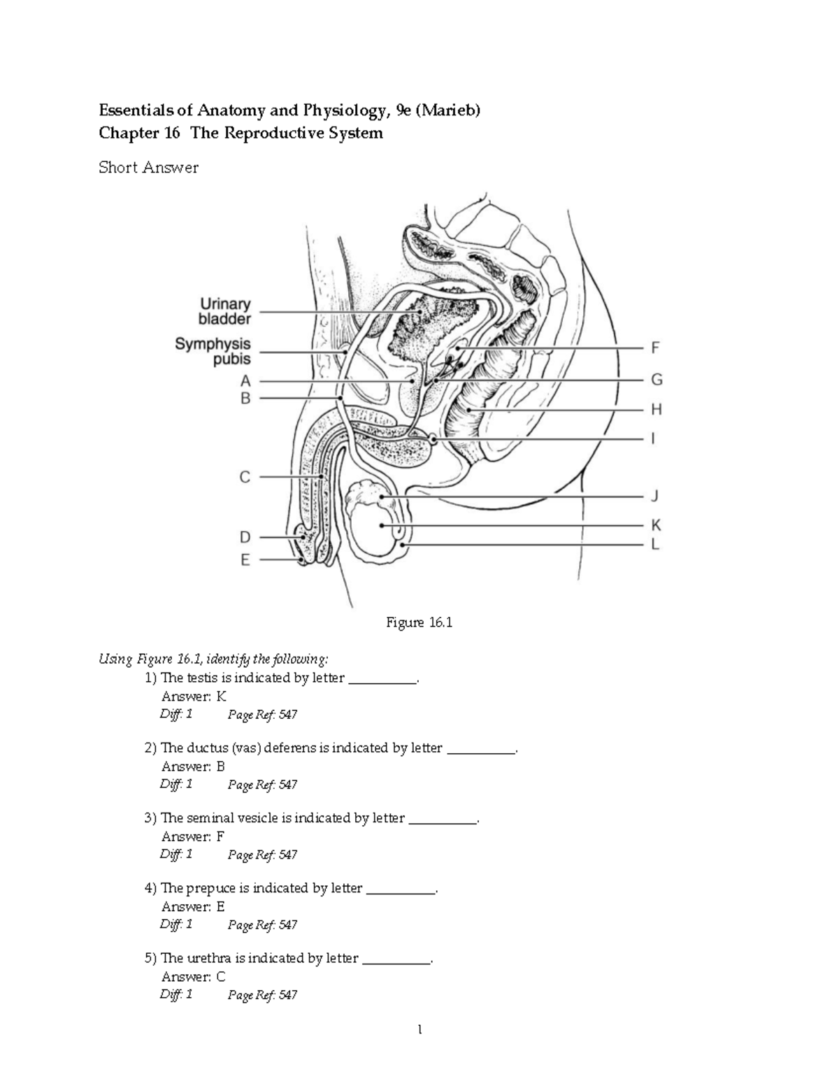 Chapter 16 The Reproductive System Answer Key 17 Pages Solution 2 8Mb