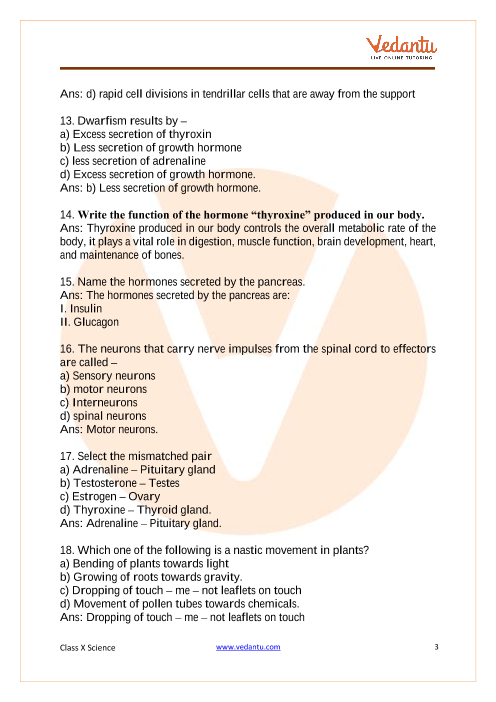 Chapter 6 The Chemistry Of Life Worksheet Answer Key Fill Online