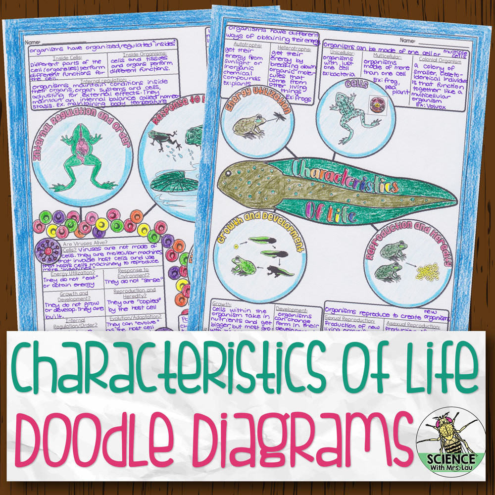 Characteristics Of Life Doodle Diagram Notes Store Science And Math