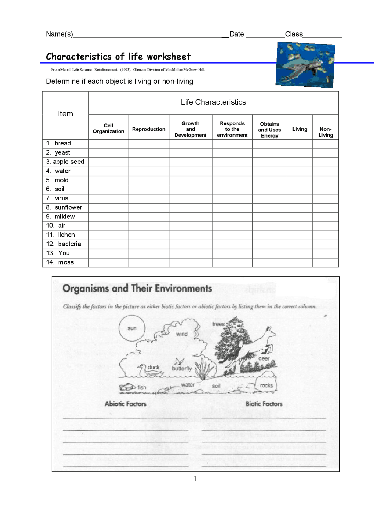 Discover Life's Traits: Worksheet Key Revealed