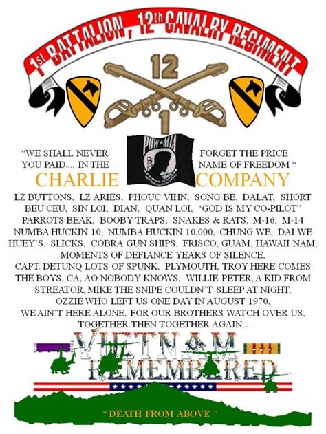 Charlie Company 1St Bn 12Th Cav Reg 1St Cav Div Vietnam 65 72 Classes Of 1965 1972 Streator Il