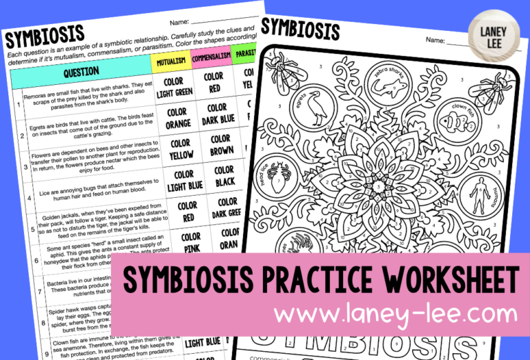 Check Symbiosis Internet Worksheet Answer Key