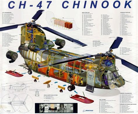 Chinook Helicopter Cutaway