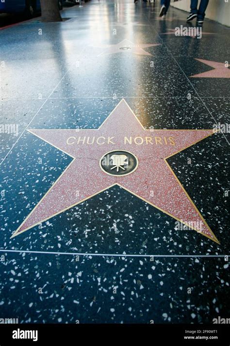 Chuck Norris Hollywood Walk Of Fame