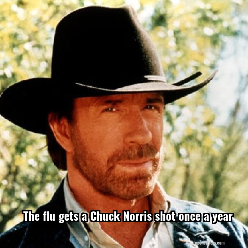 Chuck Norris The Flu Gets A Chuck Norris Shot Once A Year Top One Liners