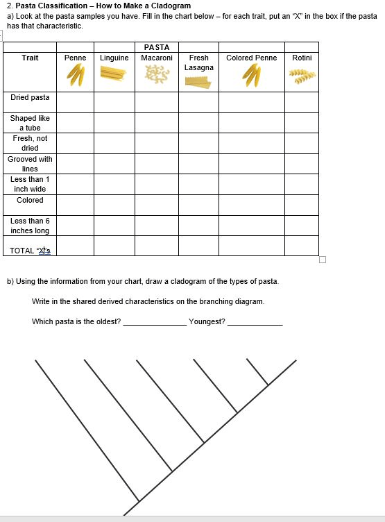 Cladogram Activity Classification Taxonomy Cladistics By Amy Brown Science