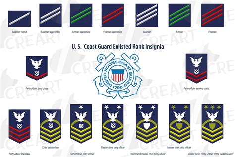 5 Coast Guard Insignia