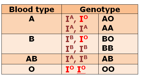 Codominance And Blood Types