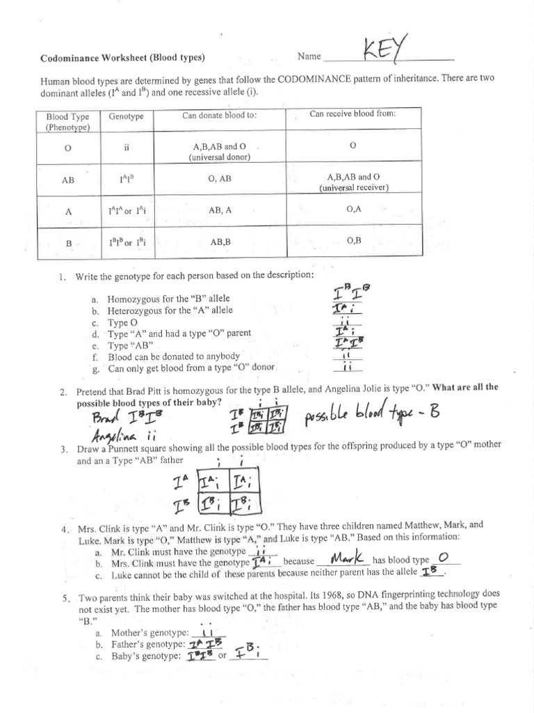 Codominance Worksheet Blood Types Pro Worksheet