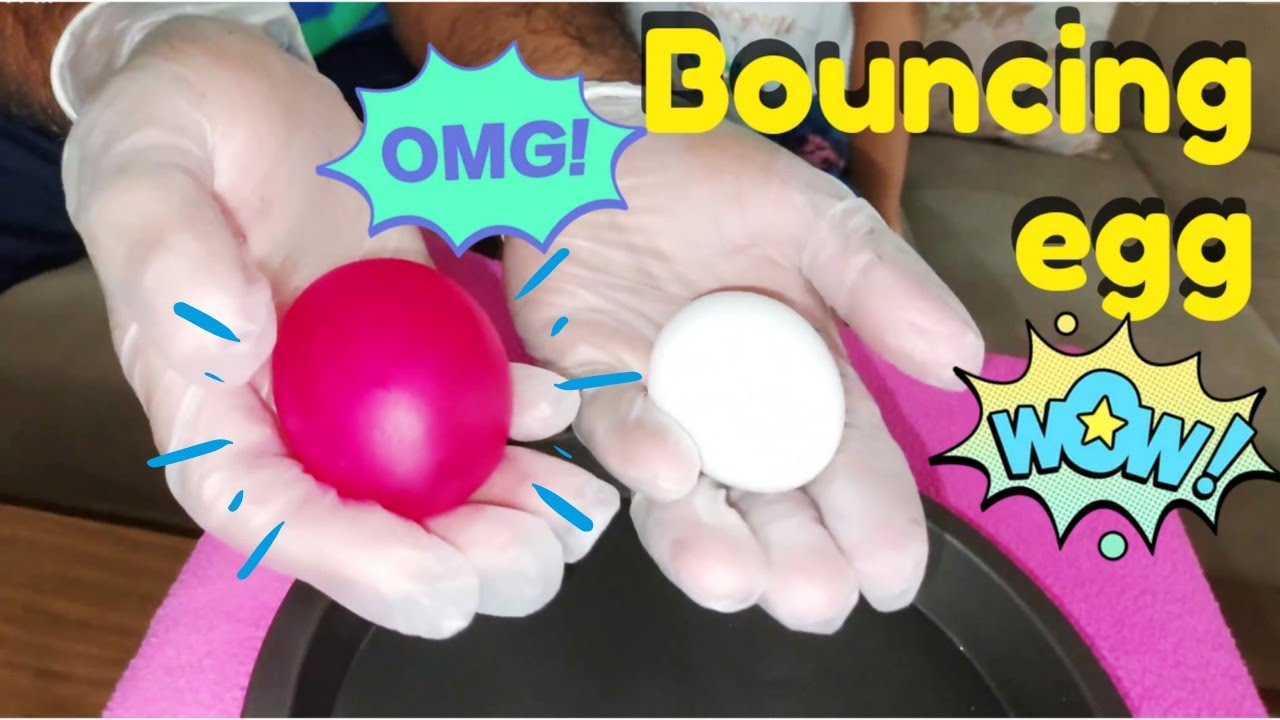 Colorful Bouncy Egg Science Experiment