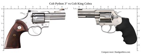 Python vs King Cobra: 5 Key Differences