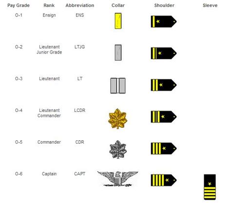 7 Steps to Achieving Commander Rank in Navy