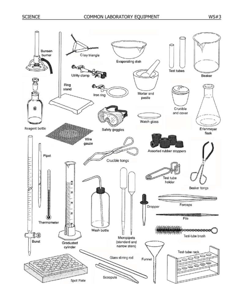 Common Laboratory Equipment Doc Worksheet Common Laboratory Equipment