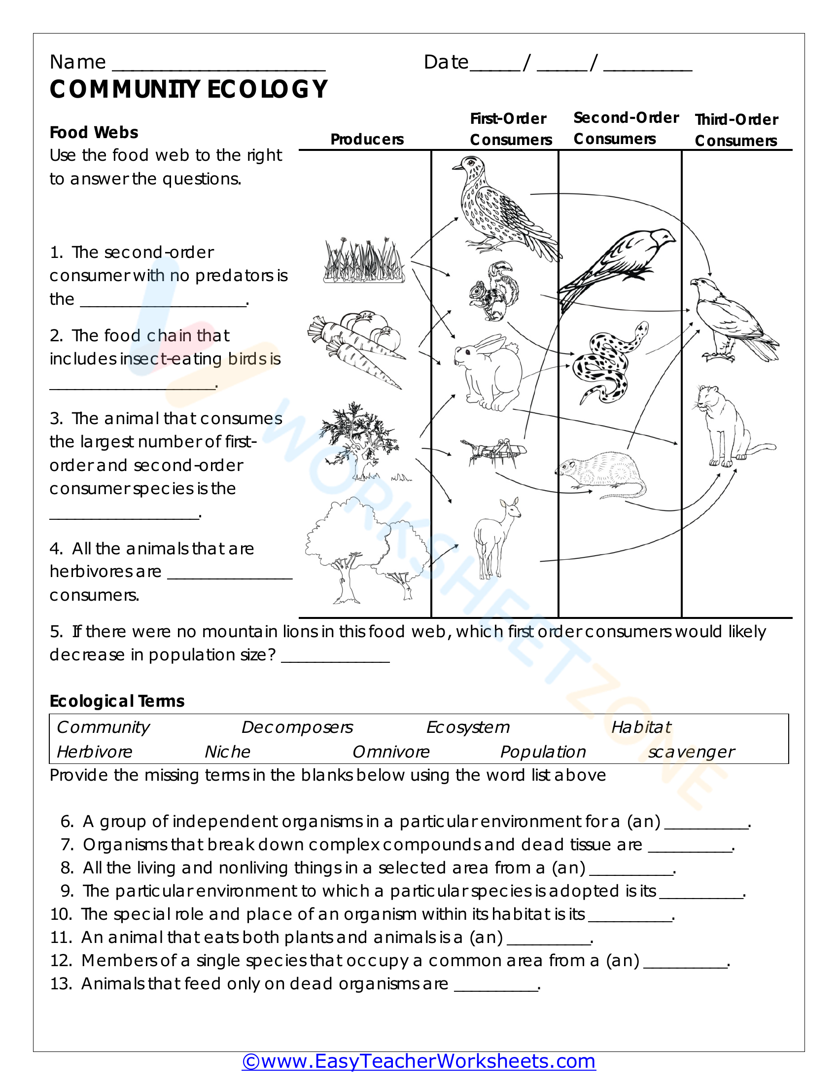 5 Key Answers for Your Community Ecology Worksheet