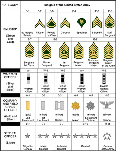 Company Commander: 5 Key Responsibilities of the Army Rank