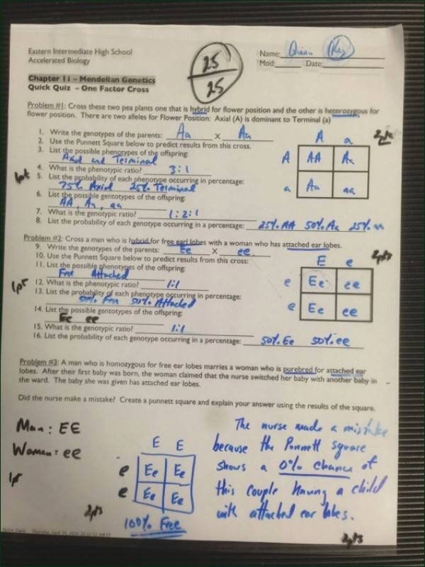 Complete Dominance Mendelian Genetics Worksheets Answer Key