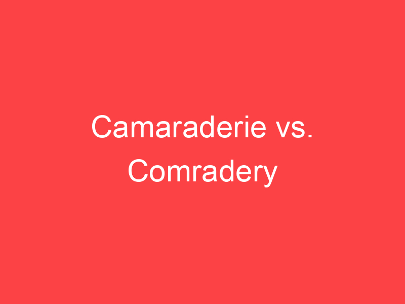 Comradery Vs Camaraderie Deciding Between Similar Terms