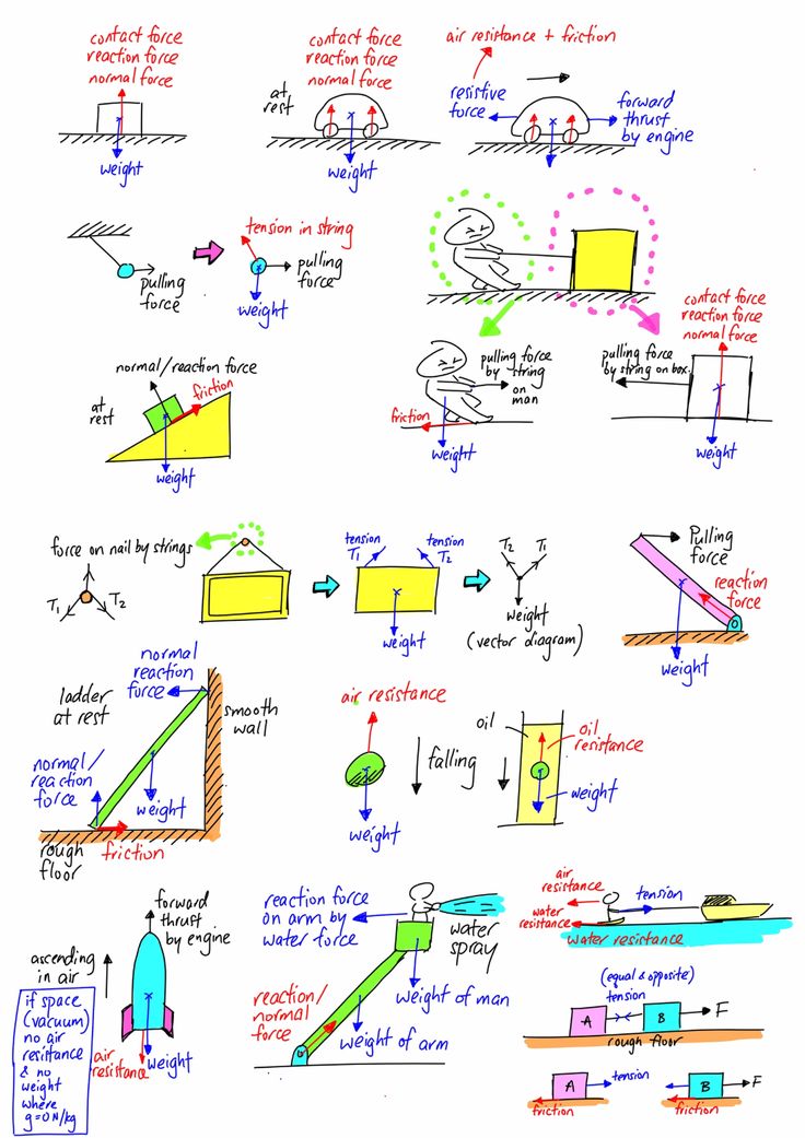 Constructing A Free Body Diagram