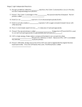 Crash Course Biology 8 Photosynthesis Video Worksheet Tpt