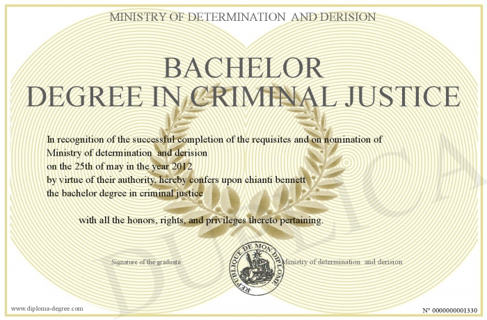 Criminal Justice Bachelor S Degree Onlinedegree Com