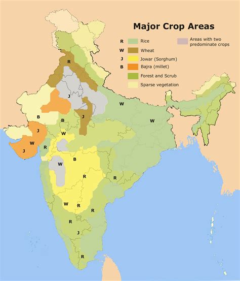 Crops In India Geography Study Material Notes