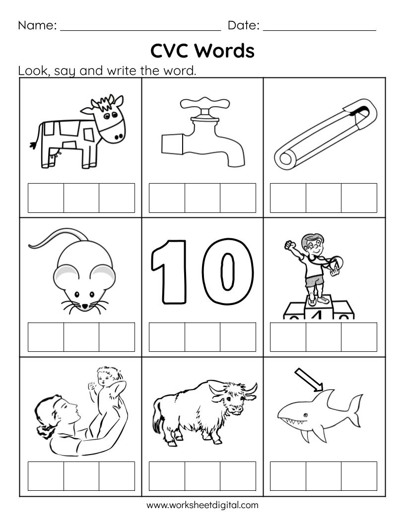 Cvc Words Say And Write The Cvc Words Phonics Worksheets