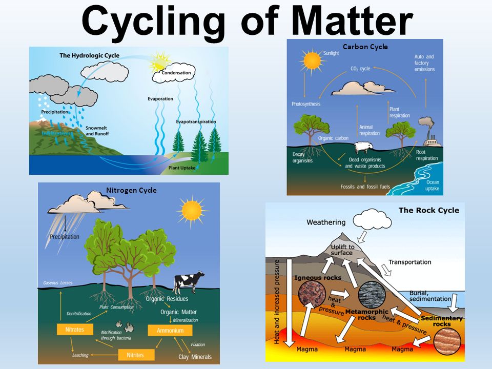 Cycle Of Matter Earth Process