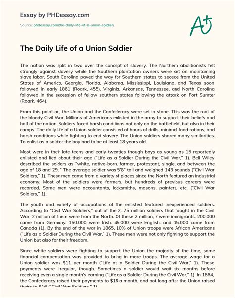 Daily Life Of A Union Soldier The Daily Life Of A Union Soldier Essay Example 2022 10 13