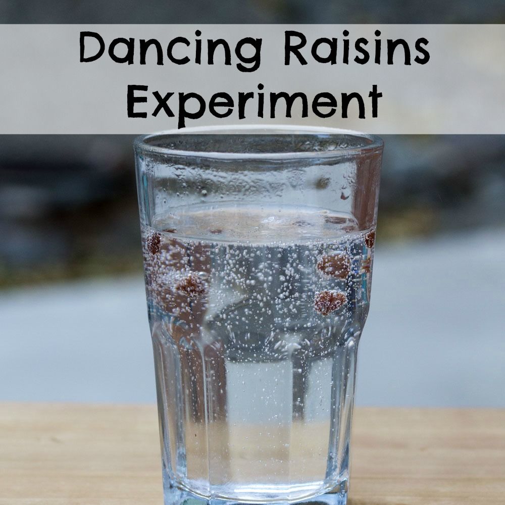 Dancing Raisins Experiment Fun Science For Kids Printable