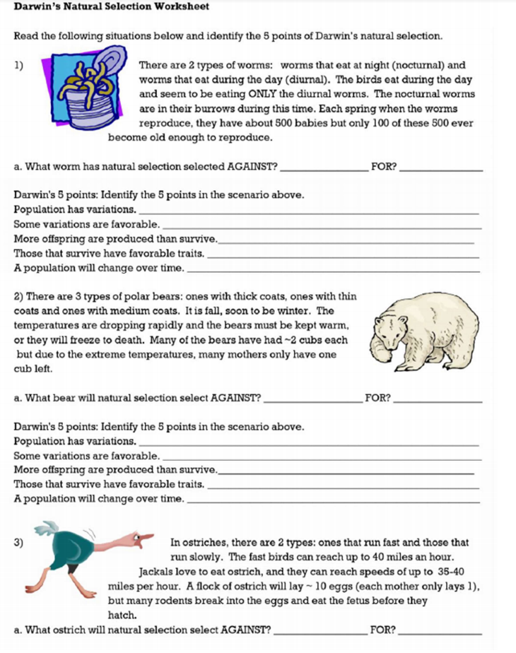 Darwins Natural Selection Worksheet Answers 1 Natural Selection