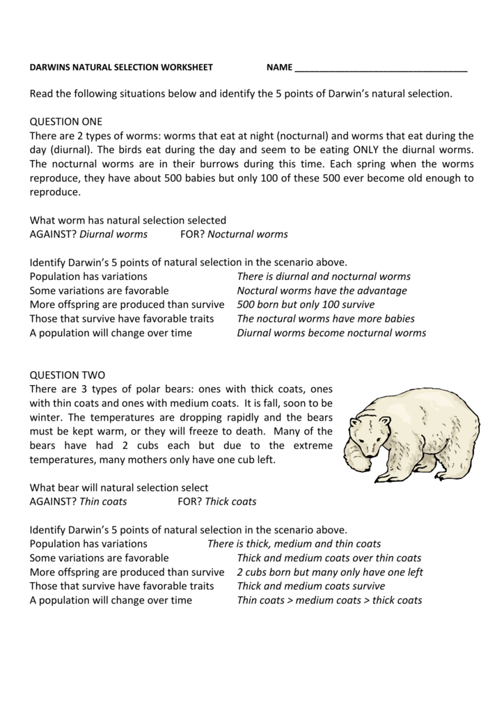 Darwin's Natural Selection: Free Printable Worksheet for Kids