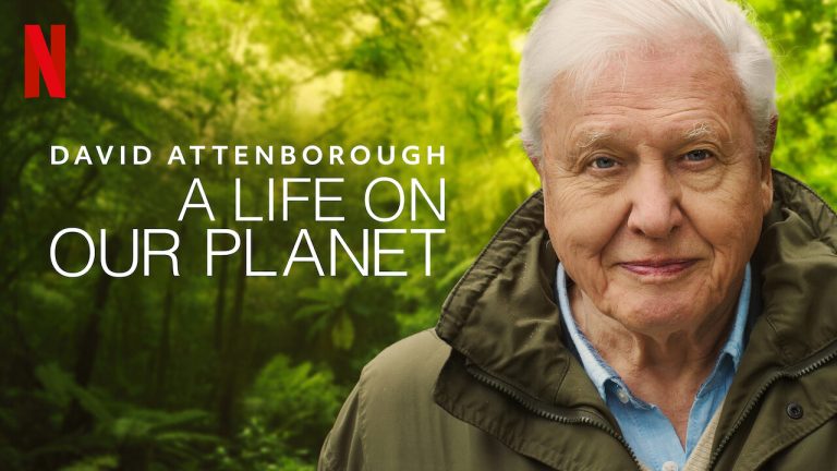 David Attenborough Worksheet Answers for Our Planet