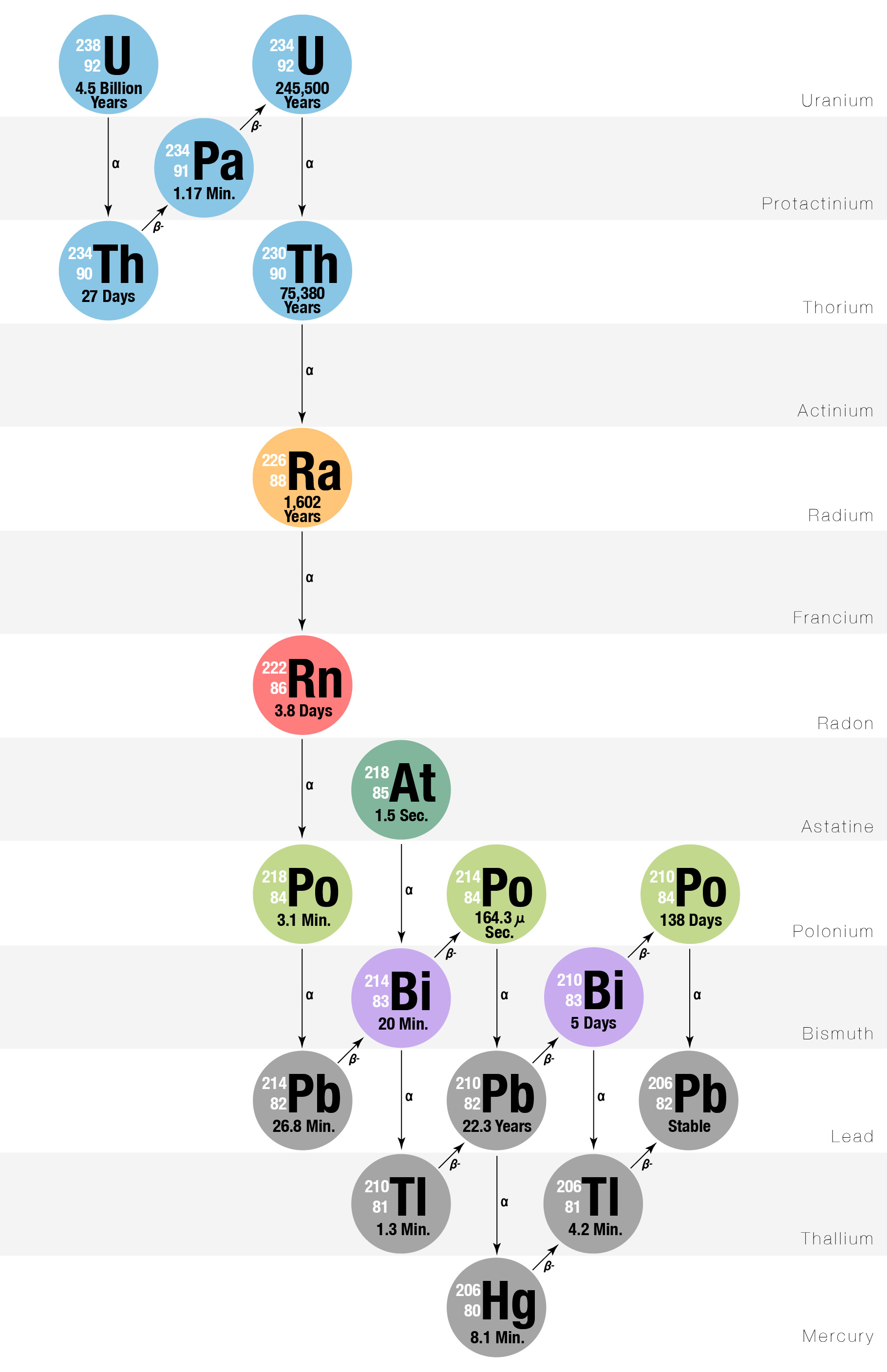 Unlock the Secrets of Uranium-238 Decay with Our Worksheet Answers