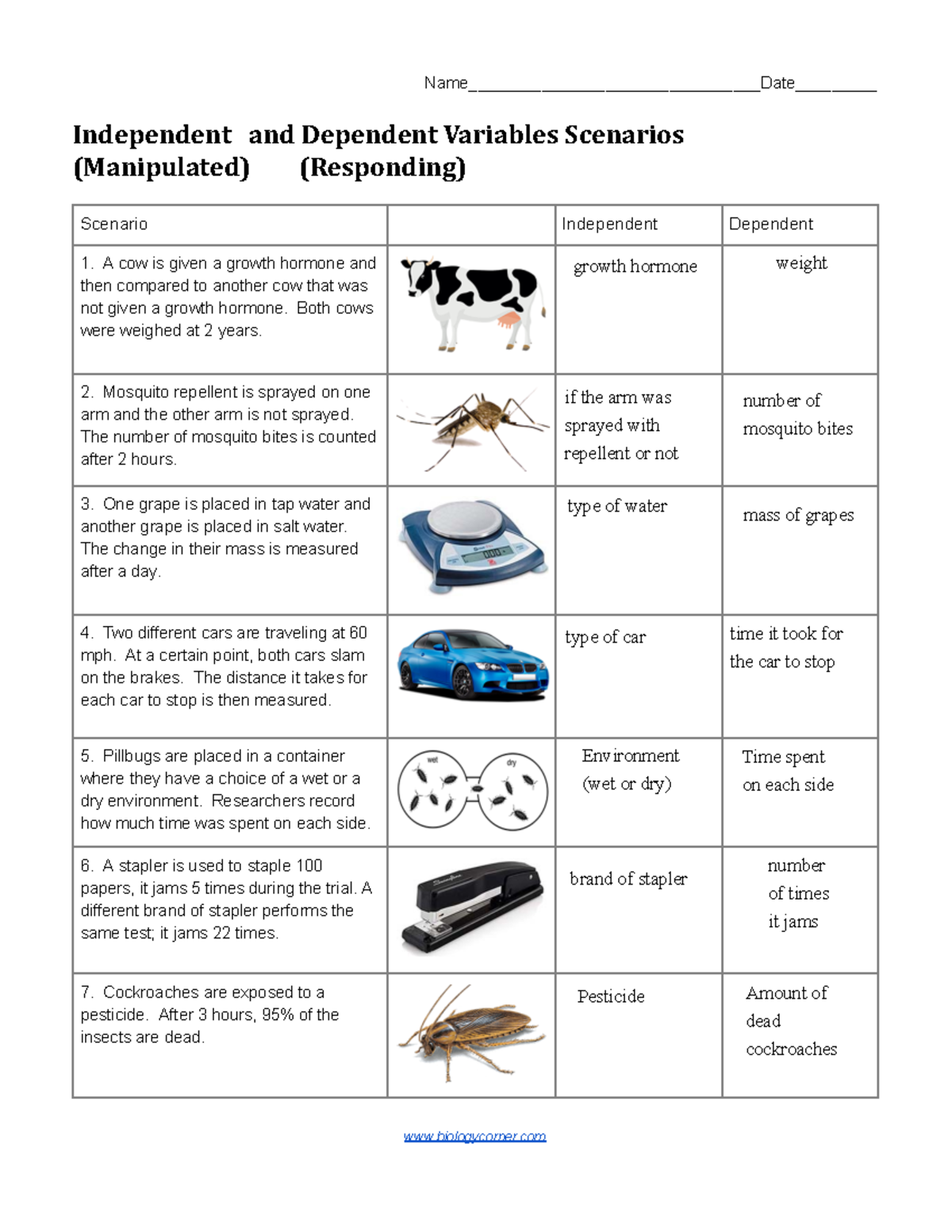 Dependent And Independent Variables Worksheet Printable Word Searches