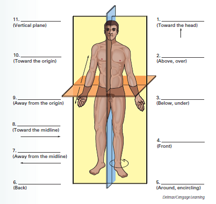 Diagram Of Directional Terms