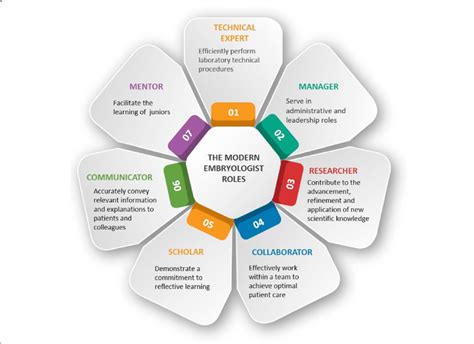 Diagram Of The Seven Key Roles Of The Successful Embryologist Download Scientific Diagram