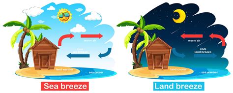 Diagram Showing Circulation Of Sea And Land Breeze 697224 Vector Art At Vecteezy