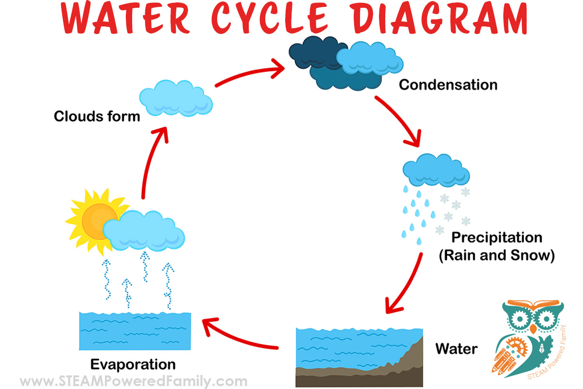 Diagram Water Cycle Diagram Education Interactive Discovery