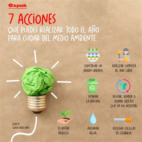 Diez Actividades Para Que Los Ni Os Aprendan A Cuidar El Medio Ambiente