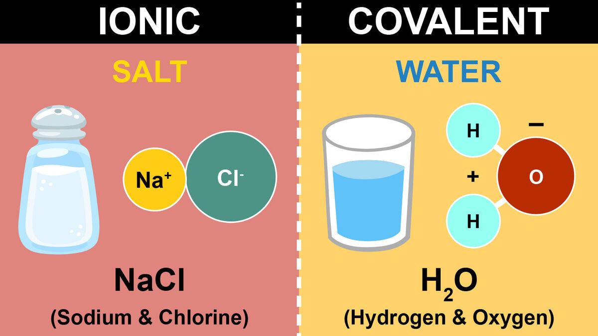 Difference Between Ionic And Covalent Bonding Noon Academy