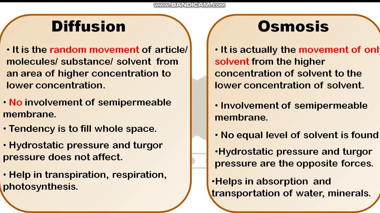 Difference Osmosis And Diffusion