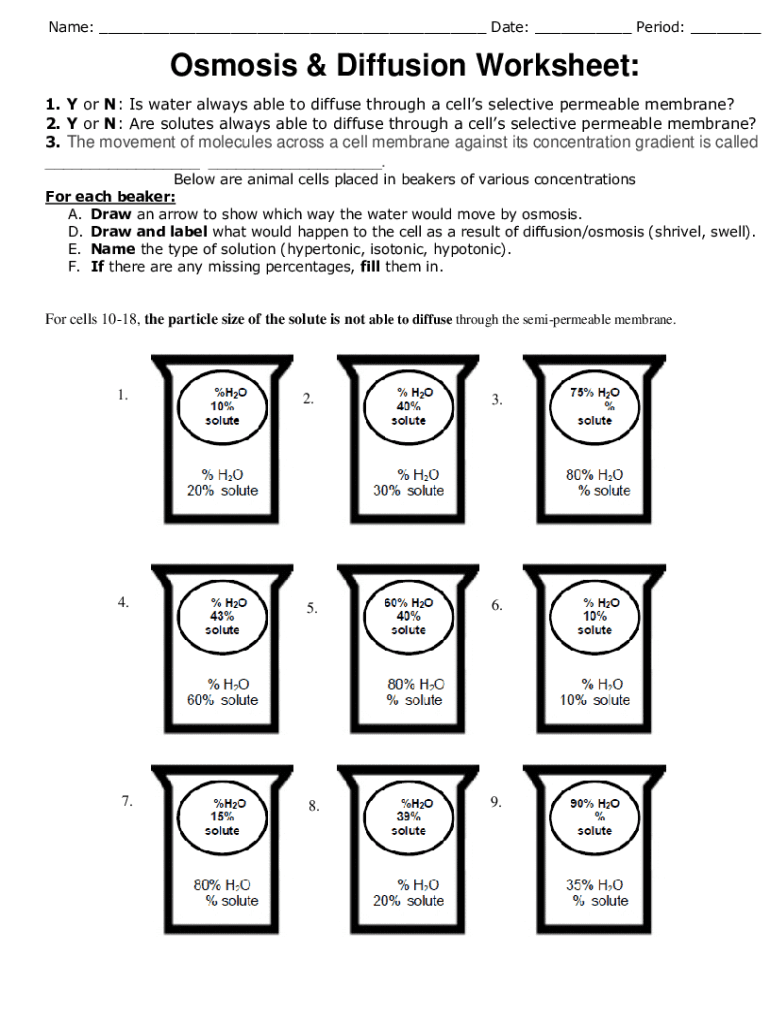 Diffusion And Osmosis Worksheet Answers Fill And Sign Printable